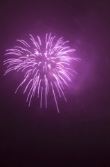 6dic2008 605