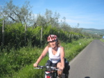 Lago di Bolsena 79