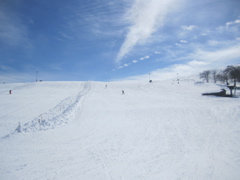 20110312_53