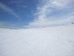 20110312_55