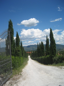 Isola d'Elba_99_3