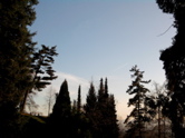 Foto0015