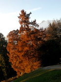 Foto0024