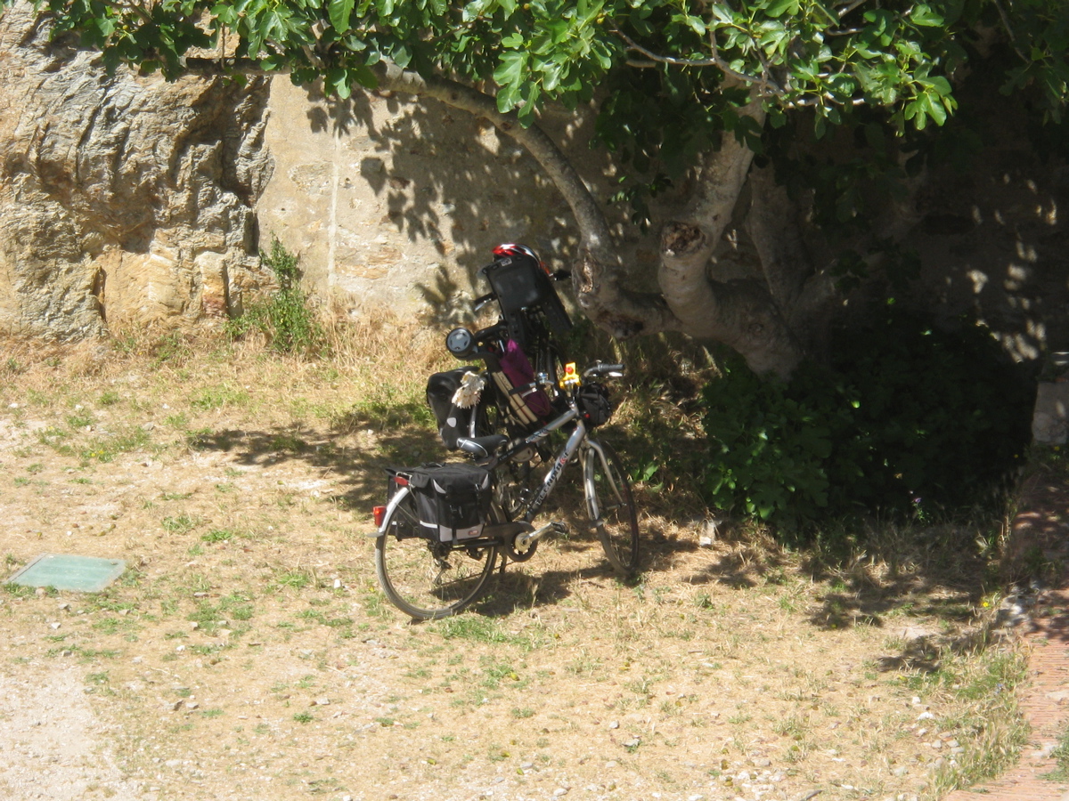 Porquerolles_67