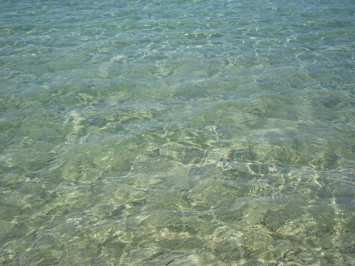 Porquerolles_89