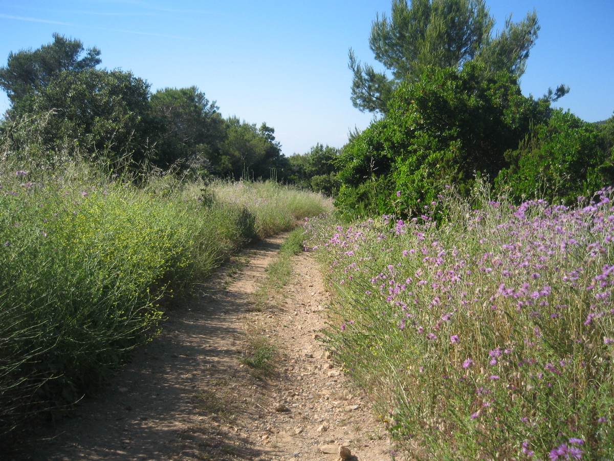 Porquerolles_93