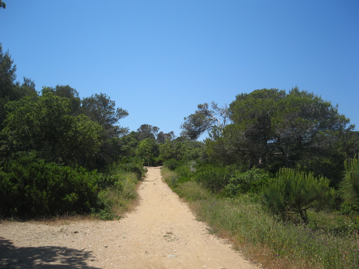 Porquerolles_99_28