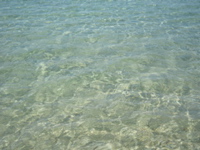 Porquerolles_89
