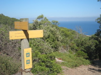 Porquerolles_99_4