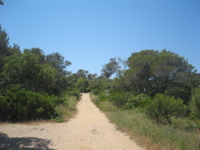 Porquerolles_99_28
