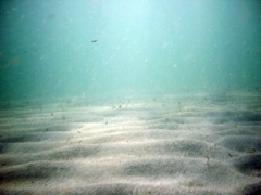 PIC_0017