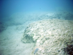 PIC_0092
