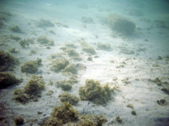 PIC_0015