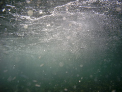 PIC_0020