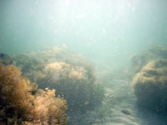 PIC_0024