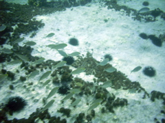 PIC_0047