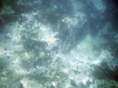 PIC_0055