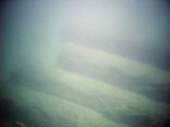 PIC_0081