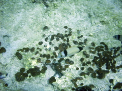 PIC_0054