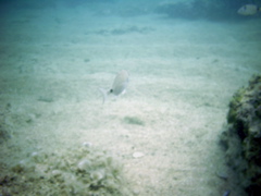 PIC_0099