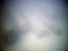 PIC_0083