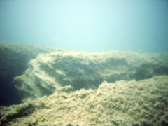 PIC_0073