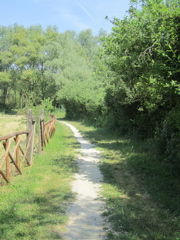20110512_57