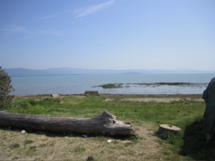 20110512_55