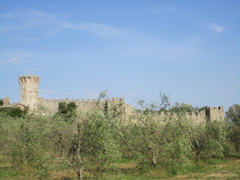 20110512_99_50