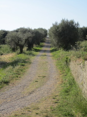 20110512_99_51