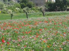 20110513_99_14