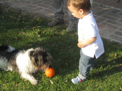 20110511_46
