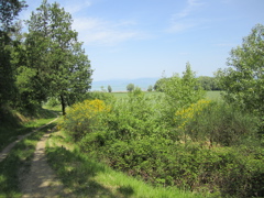 20110513_99_26