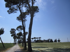 20110513_99_27