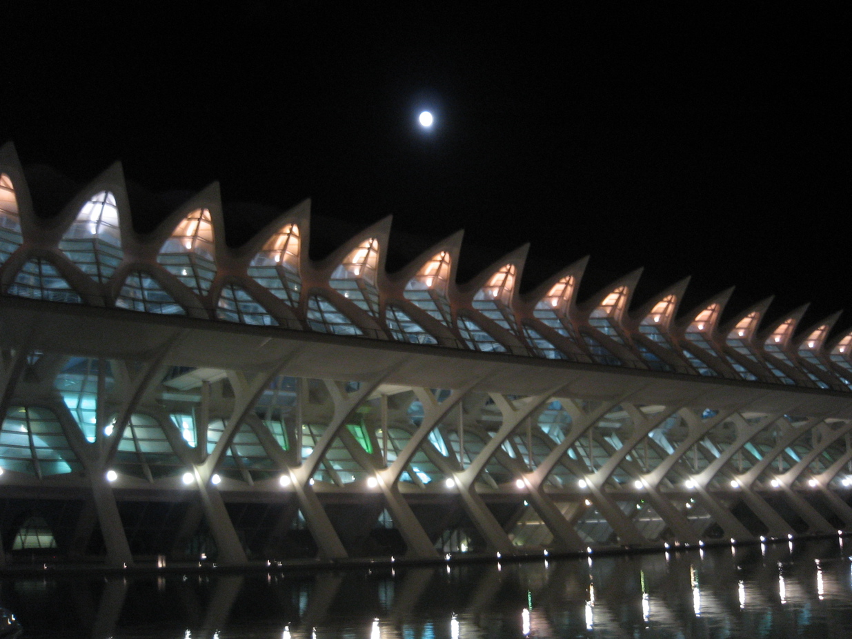 11dic2008 95