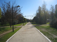 11dic2008 36