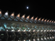 11dic2008 95