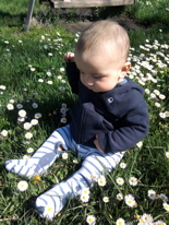 Foto0393
