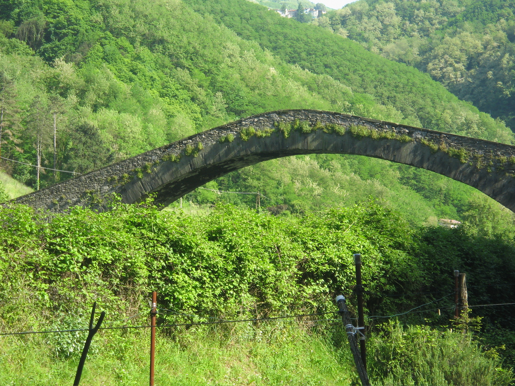 Maggio2009_53