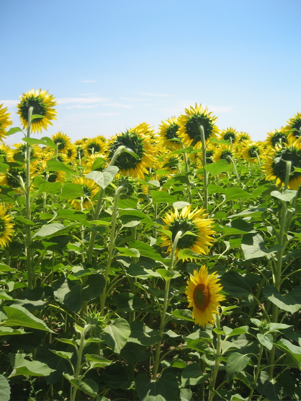 GiuLug2009_19