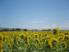 GiuLug2009_20
